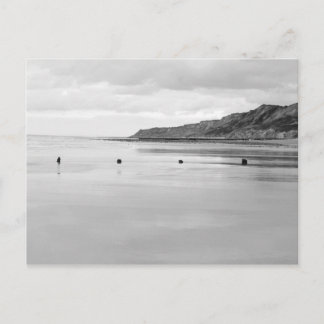 Norfolk Shore Postcard