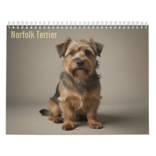Norfolk Terrier 2027 Wall Calendar