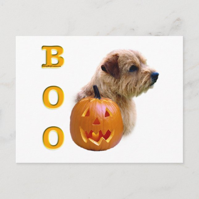 Norfolk Terrier Boo Postcard (Front)
