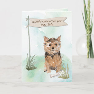 Norfolk Terrier Congratulations on New Dog Card