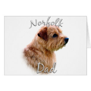 Norfolk Terrier Dad 2
