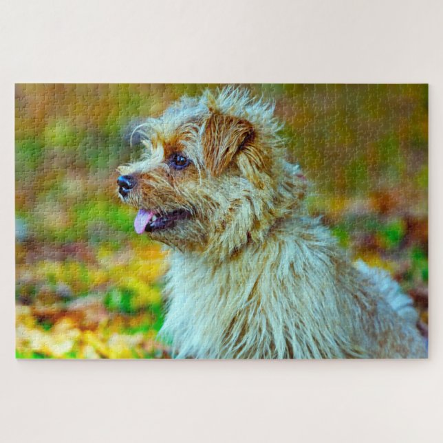 Norfolk  terrier Dog. Jigsaw Puzzle (Horizontal)