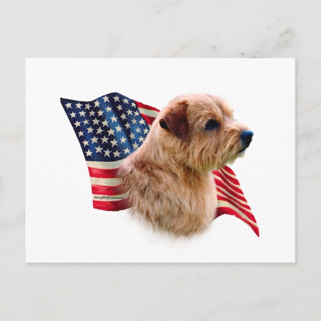 Norfolk Terrier Flag Postcard (Front)