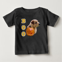 Norfolk Terrier Halloween Boo