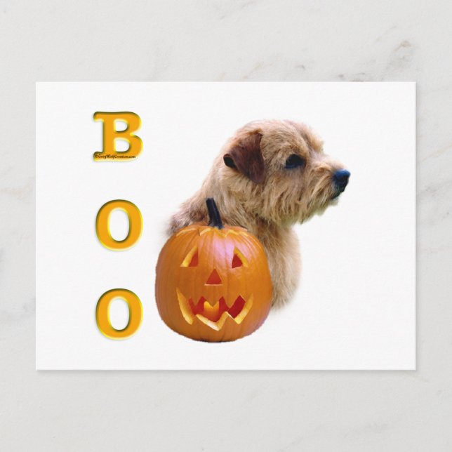 Norfolk Terrier Halloween Boo Postcard (Front)