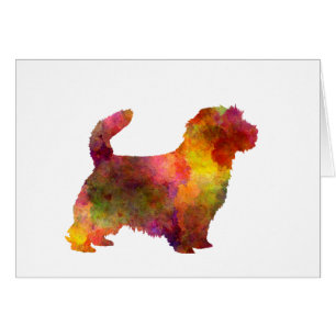Norfolk Terrier in watercolor