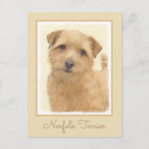Norfolk Terrier Painting - Original Dog Art Postcard