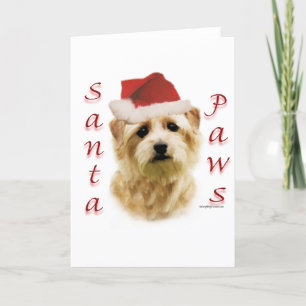 Norfolk Terrier Santa Paws Holiday Card