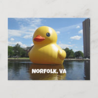 Norfolk, Virginia (Duck)