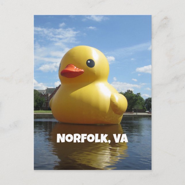 Norfolk, Virginia (Duck) Postcard (Front)