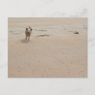 Normandy 2009 (1) postcard