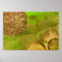 Noroviruses in the gastrointestinal tract