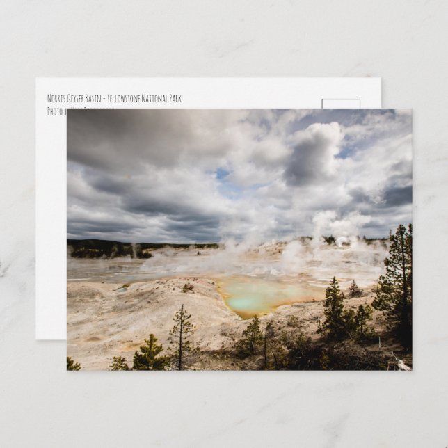 Norris Geyser Basin Yellowstone  Postcard (Front/Back)