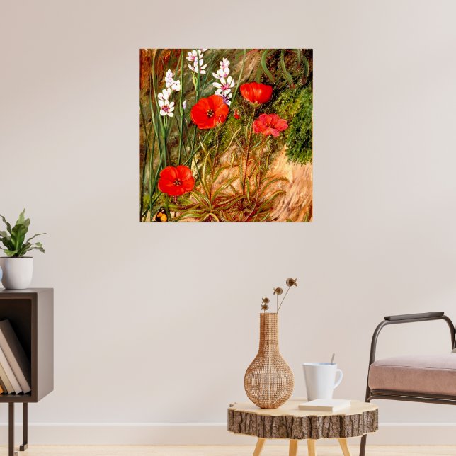 North - A South African Sundew Poster (Living Room 3)