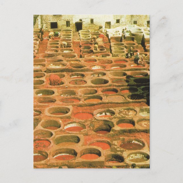 North Africa, Tannery, Marrakesh, Morocco Postcard (Front)