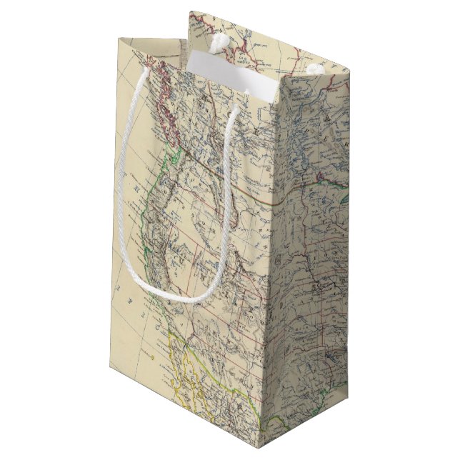 North America 20 Small Gift Bag (Back Angled)