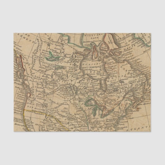 North America 3 Tissue Paper (Front)