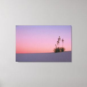 North America, America, New Mexico, White Canvas Print