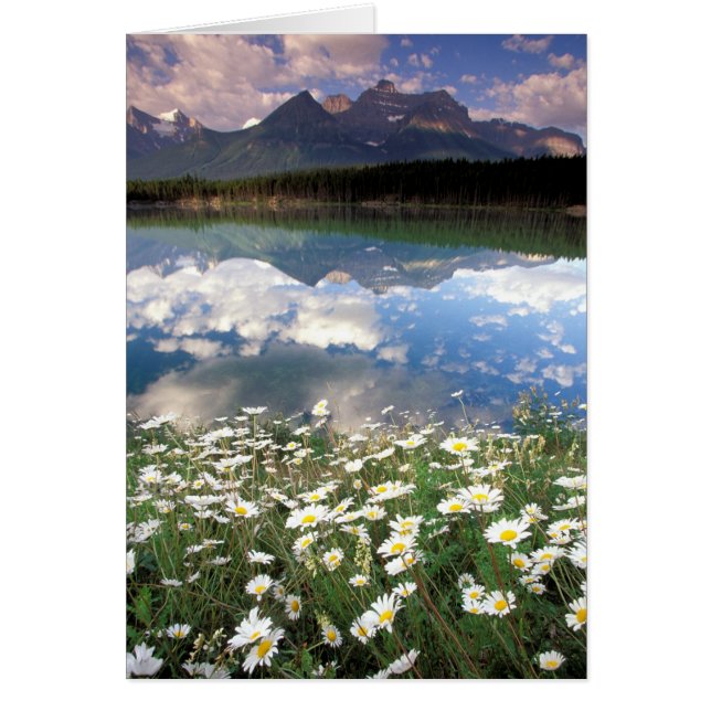 North America, Canada, Alberta, Banff National 2 (Front)