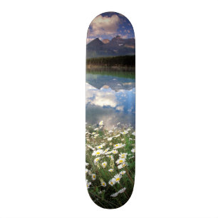 North America, Canada, Alberta, Banff National 2 Skateboard