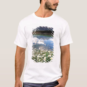 North America, Canada, Alberta, Banff National 2 T-Shirt