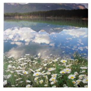 North America, Canada, Alberta, Banff National 2 Tile