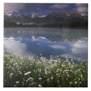 North America, Canada, Alberta, Banff National Tile