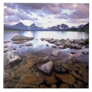 North America, Canada, Alberta, Jasper National Tile