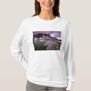 North America, Canada, Alberta, Jasper T-Shirt