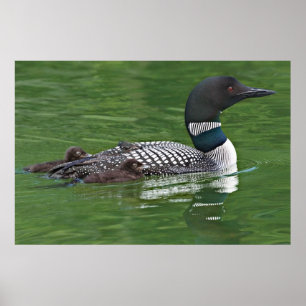 North America, Canada, British Columbia, Lac 2 Poster