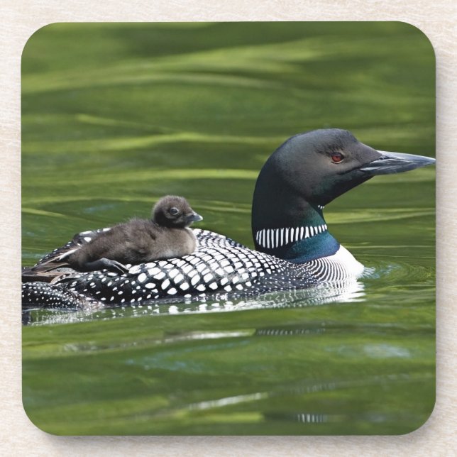 North America, Canada, British Columbia, Lac Le Coaster (Front)