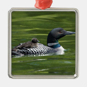 North America, Canada, British Columbia, Lac Le Metal Tree Decoration