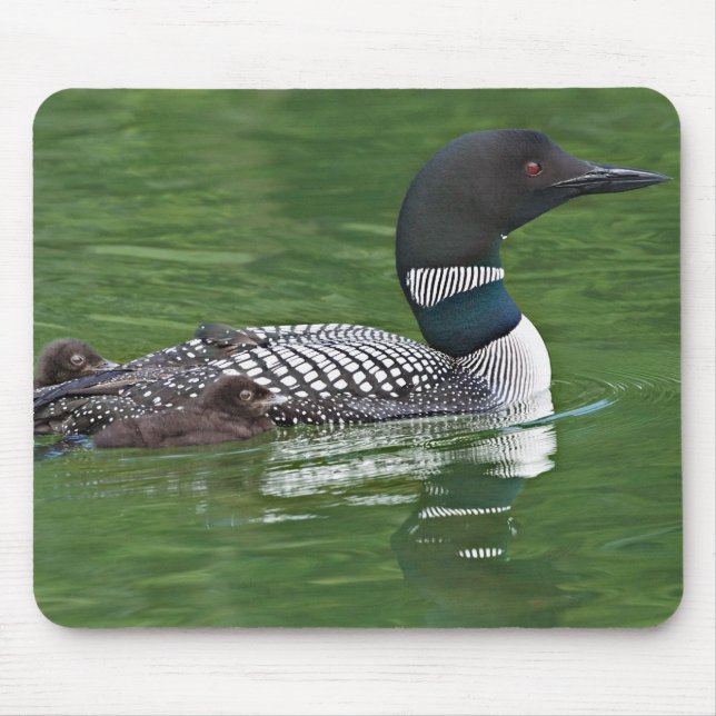 North America, Canada, British Columbia Mouse Pad (Front)