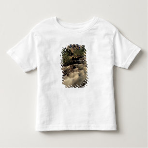 North America, Canada, Canadian Rockies, Banff Toddler T-Shirt