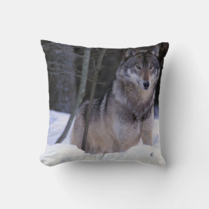 North America, Canada, Eastern Canada, Grey wolf Cushion