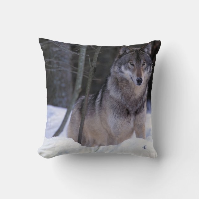 North America, Canada, Eastern Canada, Grey wolf Cushion (Front)