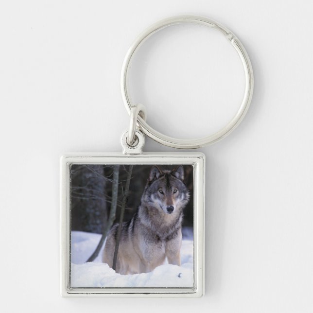 North America, Canada, Eastern Canada, Grey wolf Key Ring (Front)