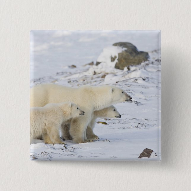 North America, Canada, Manitoba, Churchill 15 Cm Square Badge (Front)