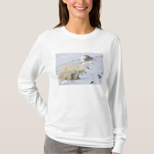 North America, Canada, Manitoba, Churchill. 4 T-Shirt