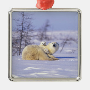 North America, Canada, Manitoba, Churchill. 9 Metal Tree Decoration