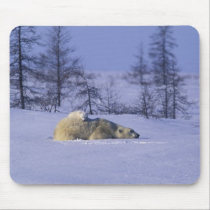North America, Canada, Manitoba, Churchill Mouse Pad