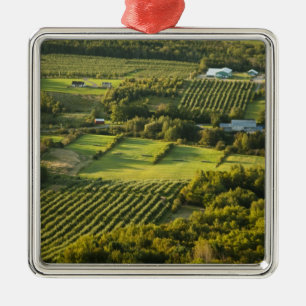 North America, Canada, Nova Scotia, Annapolis Metal Tree Decoration