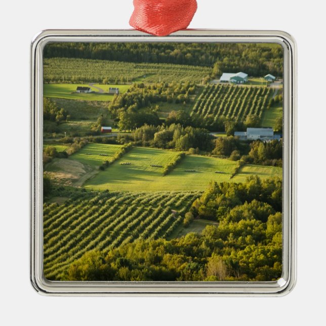 North America, Canada, Nova Scotia, Annapolis Metal Tree Decoration (Front)