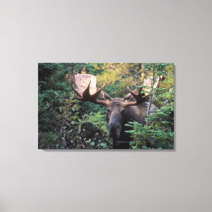 North America, Canada, Nova Scotia, Cape Breton Canvas Print