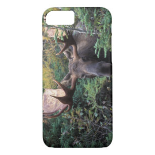 North America, Canada, Nova Scotia, Cape Breton Case-Mate iPhone Case