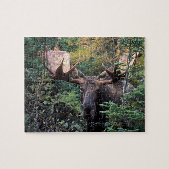 North America, Canada, Nova Scotia, Cape Breton Jigsaw Puzzle (Horizontal)