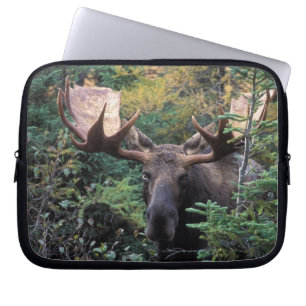 North America, Canada, Nova Scotia, Cape Breton Laptop Sleeve