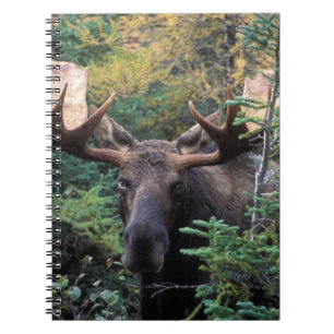 North America, Canada, Nova Scotia, Cape Breton Spiral Notebook