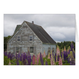North America, Canada, Prince Edward Island,