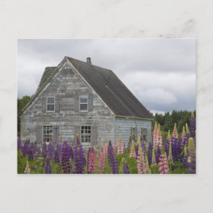 North America, Canada, Prince Edward Island, Postcard